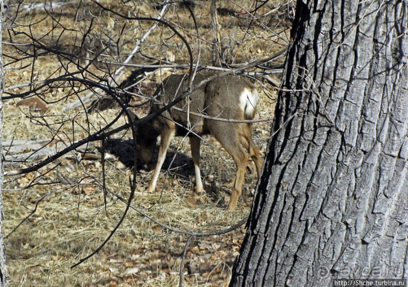 фото Маунтин Виллидж