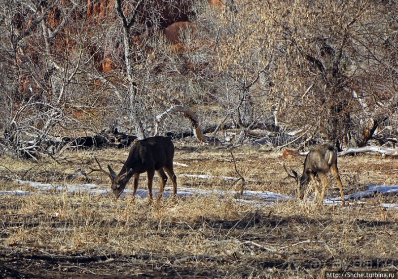 фото Маунтин Виллидж