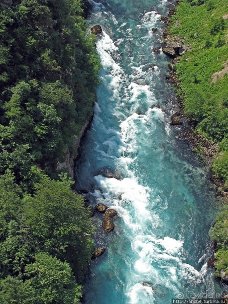Альбом отзыва "Величественный каньон реки Тара"