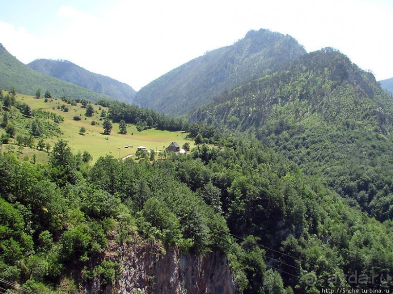 Альбом отзыва "Величественный каньон реки Тара"