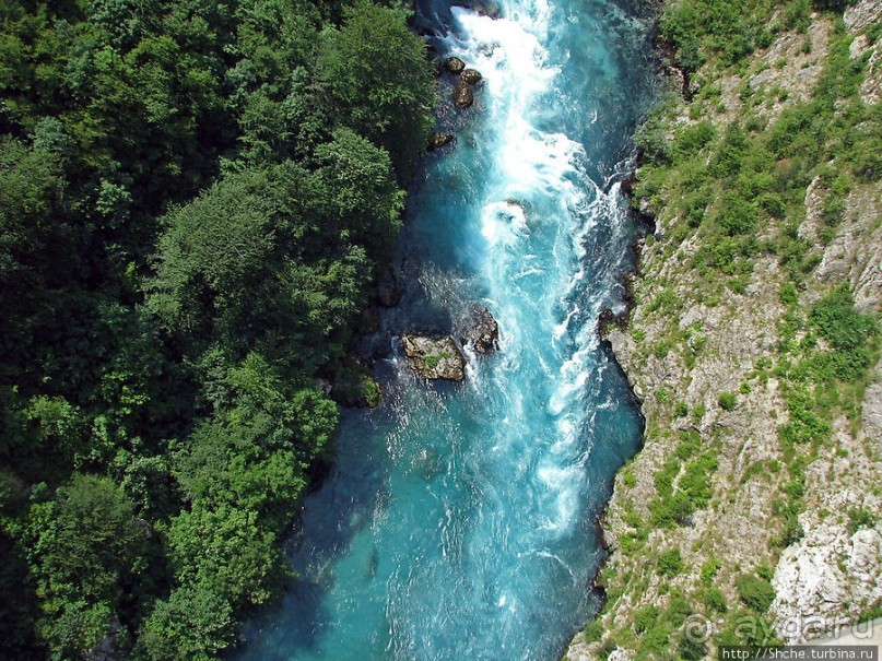 Величественный каньон реки Тара