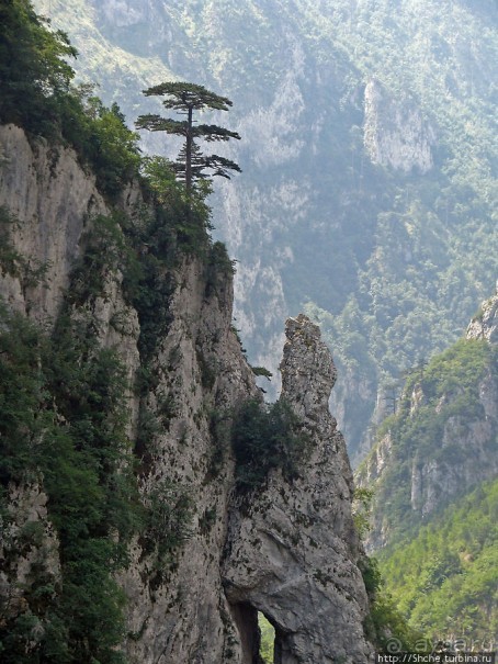 Величественный каньон реки Тара