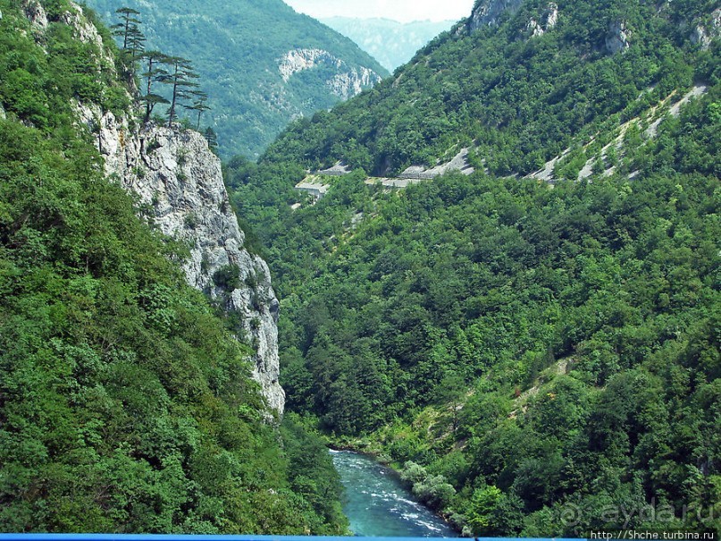 Величественный каньон реки Тара