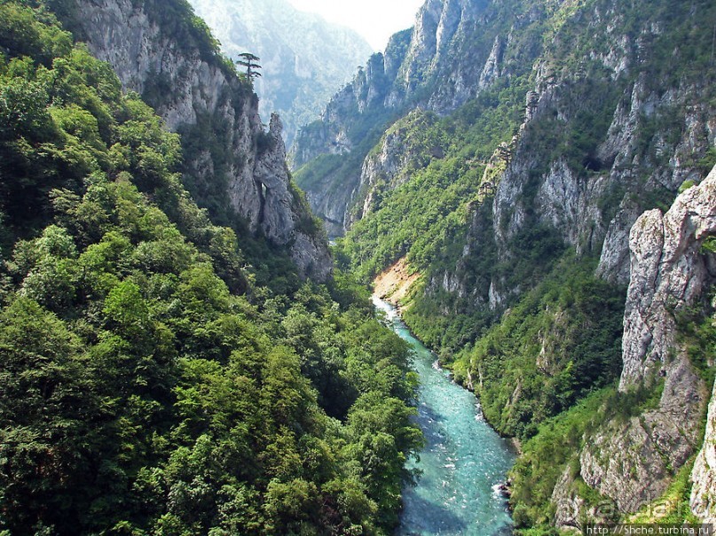 Величественный каньон реки Тара
