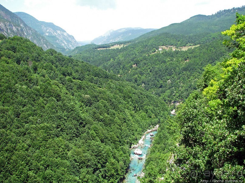 Величественный каньон реки Тара