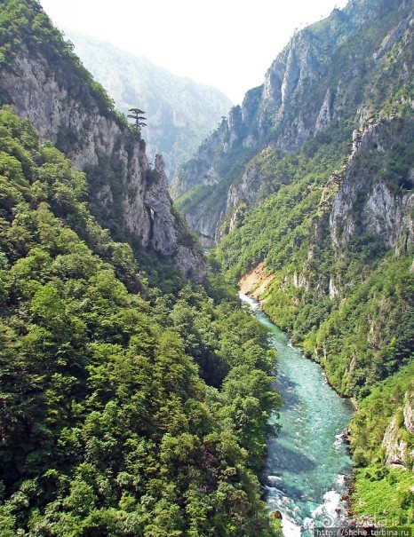 Величественный каньон реки Тара