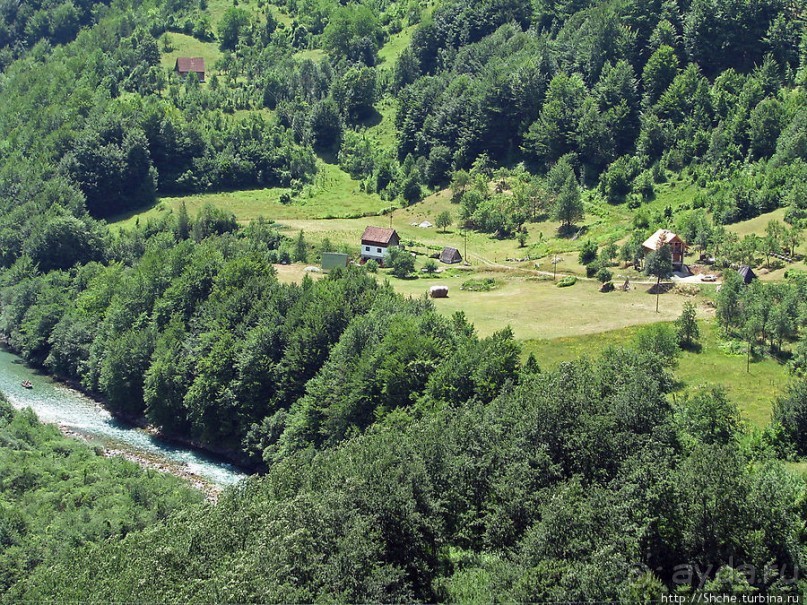 Величественный каньон реки Тара