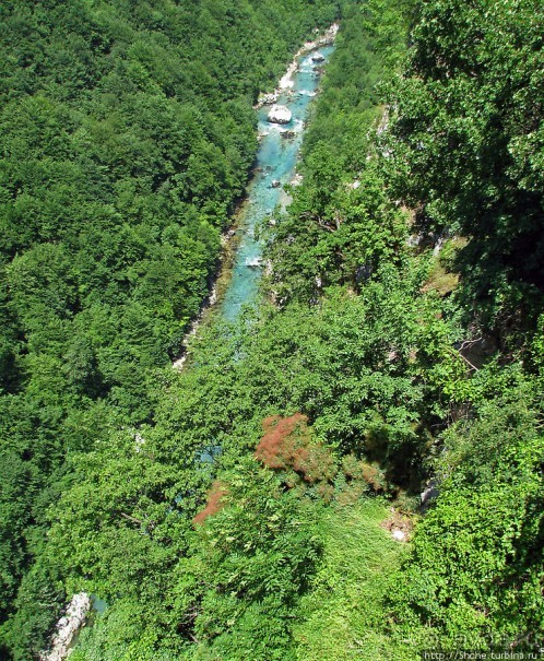 Величественный каньон реки Тара