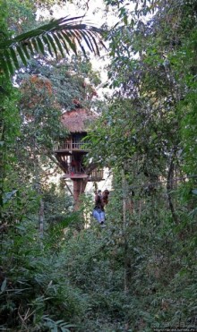 Страна Гиббония: полеты наяву