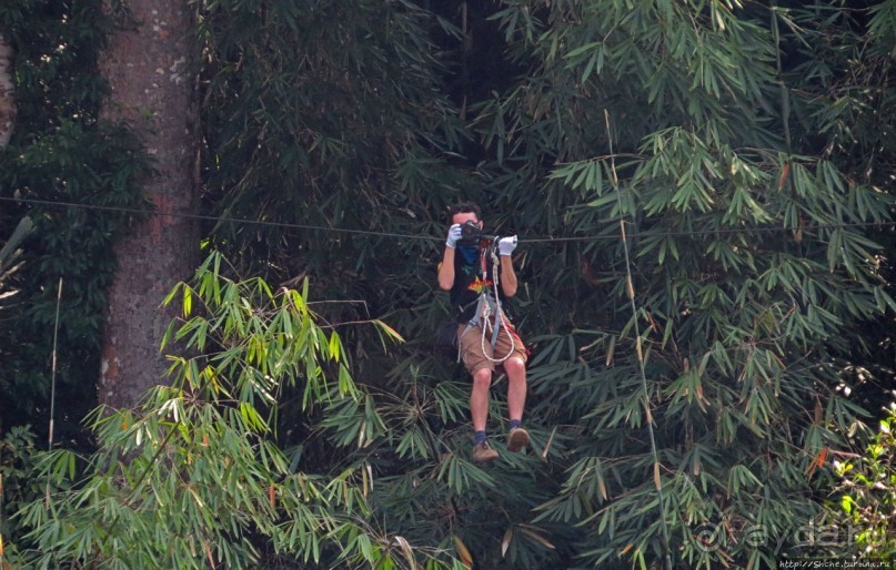 Страна Гиббония: полеты наяву