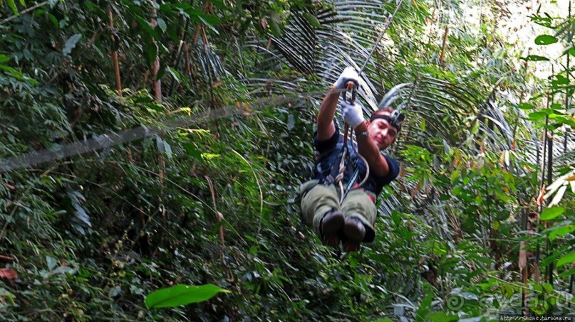 Страна Гиббония: полеты наяву