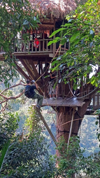 Страна Гиббония: полеты наяву