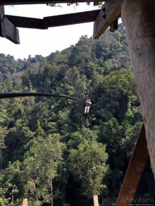 Страна Гиббония: полеты наяву