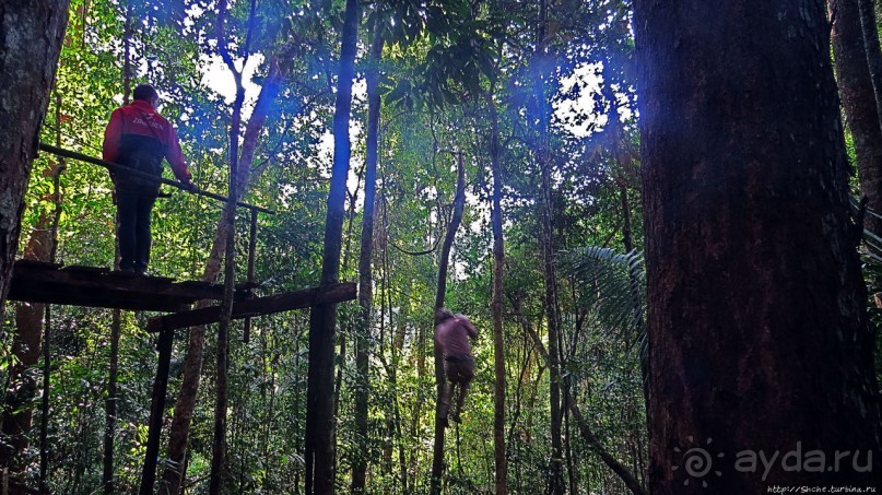 Страна Гиббония: полеты наяву