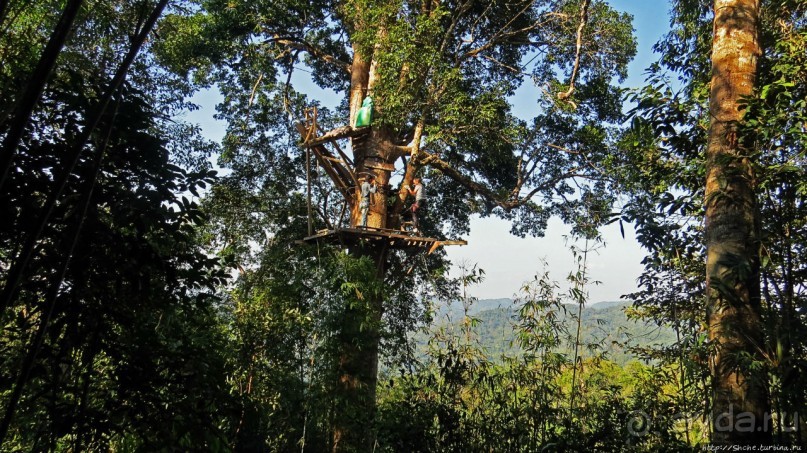 Страна Гиббония: полеты наяву