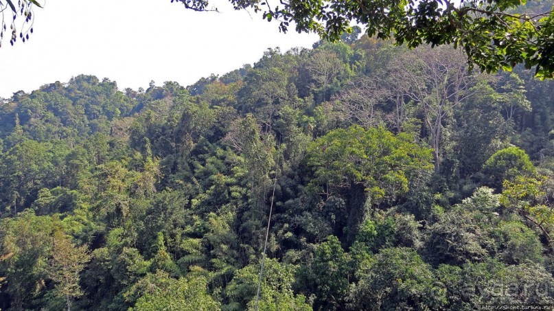 Страна Гиббония: полеты наяву