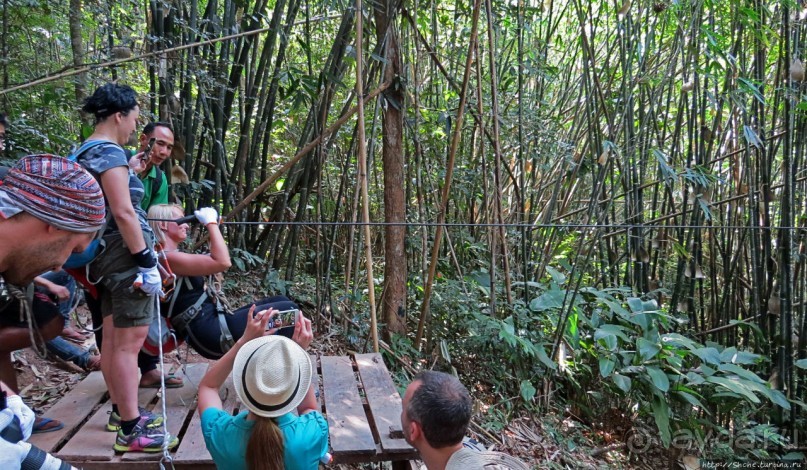 Страна Гиббония: полеты наяву
