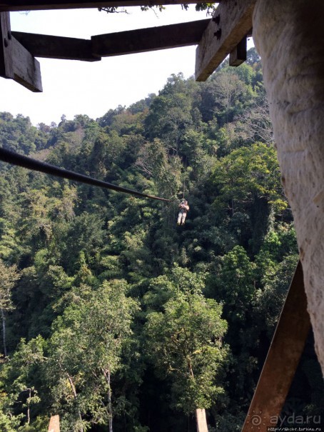 Страна Гиббония: полеты наяву
