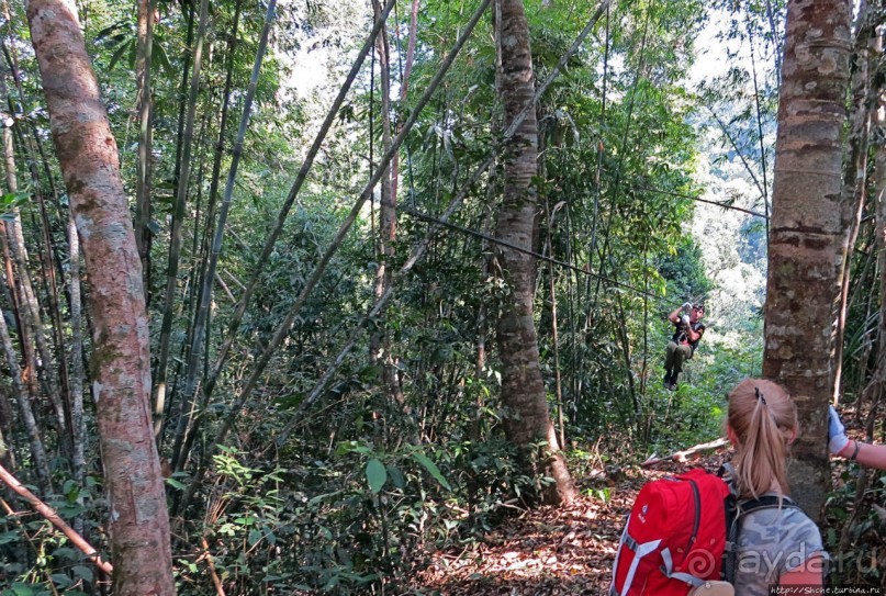 Страна Гиббония: полеты наяву