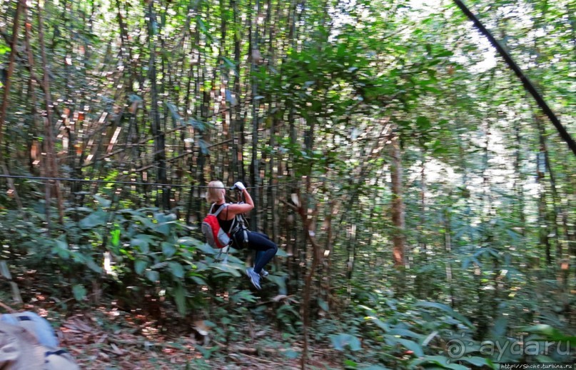 Страна Гиббония: полеты наяву