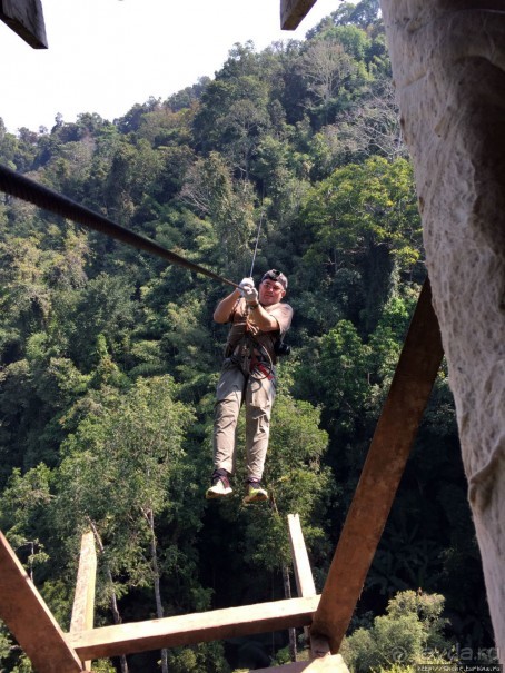Страна Гиббония: полеты наяву
