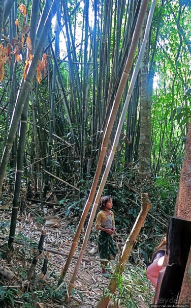Страна Гиббония: полеты наяву