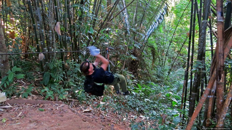 Страна Гиббония: полеты наяву