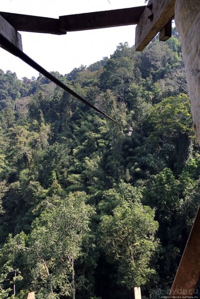 Страна Гиббония: полеты наяву