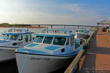 Стенхоуп — еще одна популярная деревенька с seefood-бистро