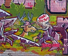 "Наскальная" живопись Харькова