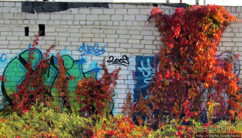 "Наскальная" живопись Харькова