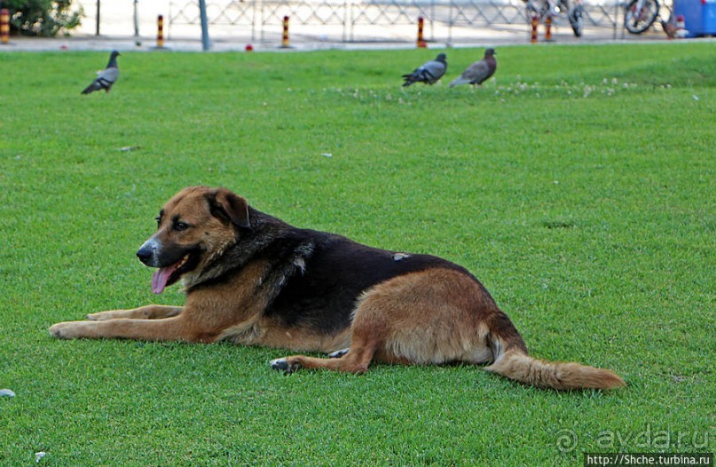 Салоники — город для жизни. Сити-центр