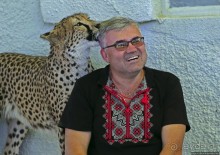 ... и был нещадно вылизан гепардом