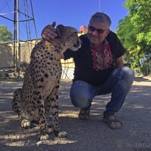 ... и был нещадно вылизан гепардом
