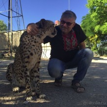 ... и был нещадно вылизан гепардом