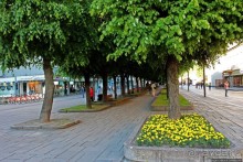 Лайсвес-аллея — пешком по главной улице