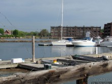 Особенности жизни на берегу