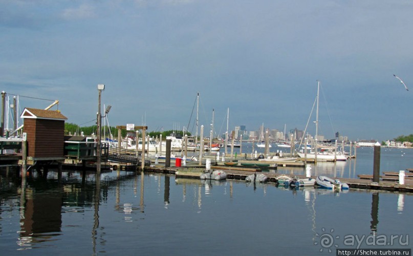 Особенности жизни на берегу