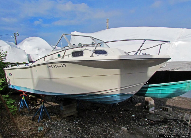 Особенности жизни на берегу