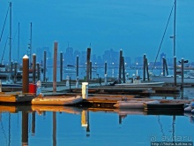 Особенности жизни на берегу