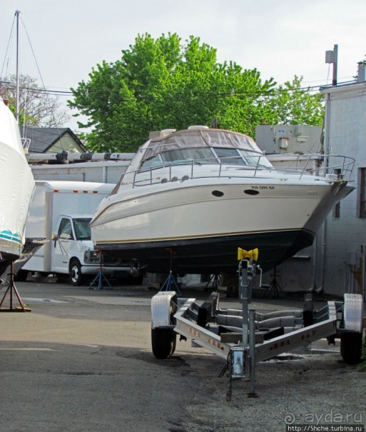 Особенности жизни на берегу