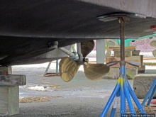 Особенности жизни на берегу