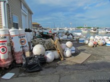 Особенности жизни на берегу