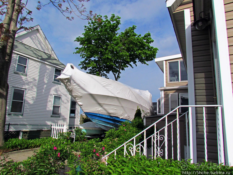 Особенности жизни на берегу