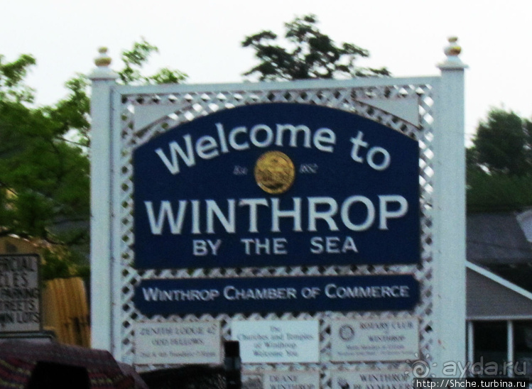 Особенности жизни на берегу