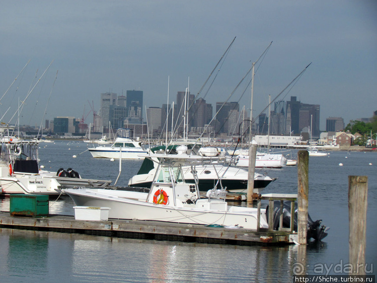 Особенности жизни на берегу