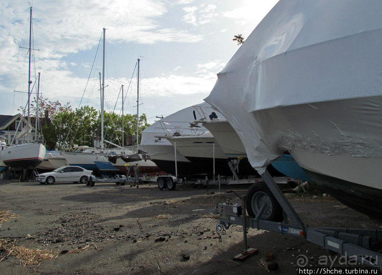 Особенности жизни на берегу