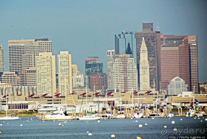 Особенности жизни на берегу