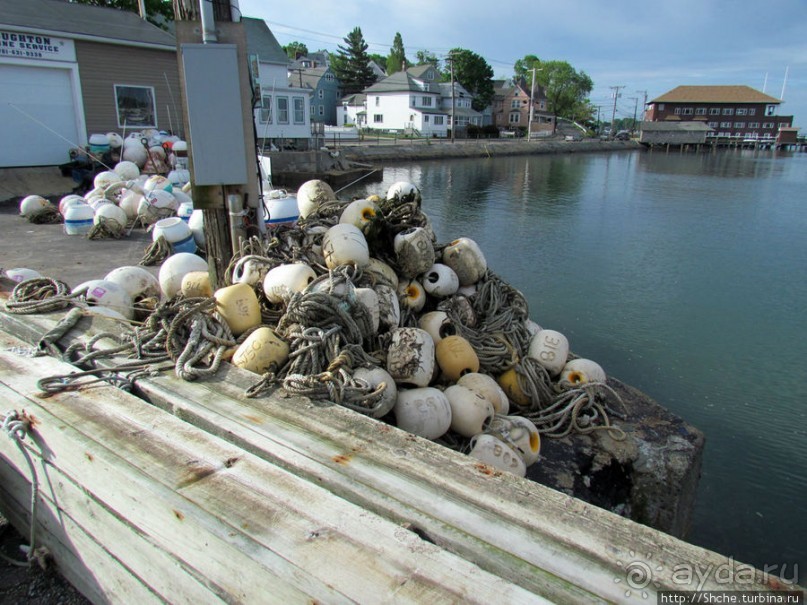 Особенности жизни на берегу