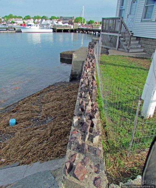 Особенности жизни на берегу